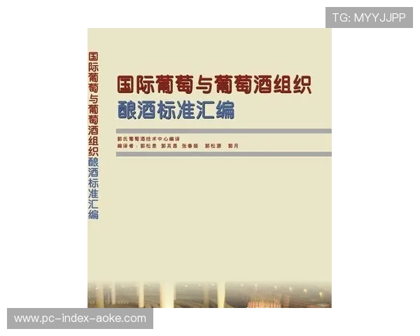 行业标准与国际规范接轨 促进中国技术走出去 行业标准与国际规范接轨 促进中国技术走出去