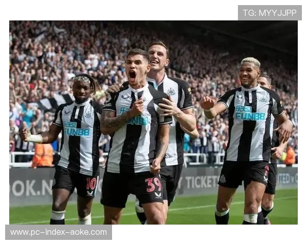 纽卡斯尔六人伤缺,主场战力受损 纽卡斯尔六人伤缺,主场战力受损